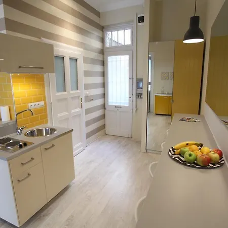 Appartement Panorama Synagogue *